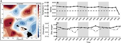 A Hard Day's Night: Diel Shifts in Microbial Eukaryotic Activity in the North Pacific Subtropical Gyre